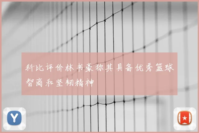 科比评价林书豪称其具备优秀篮球智商和坚韧精神