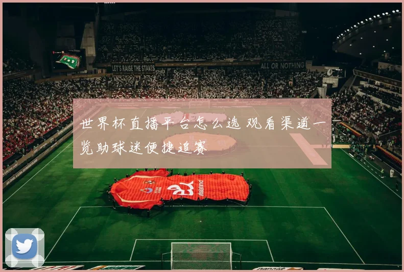 世界杯直播平台怎么选 观看渠道一览助球迷便捷追赛