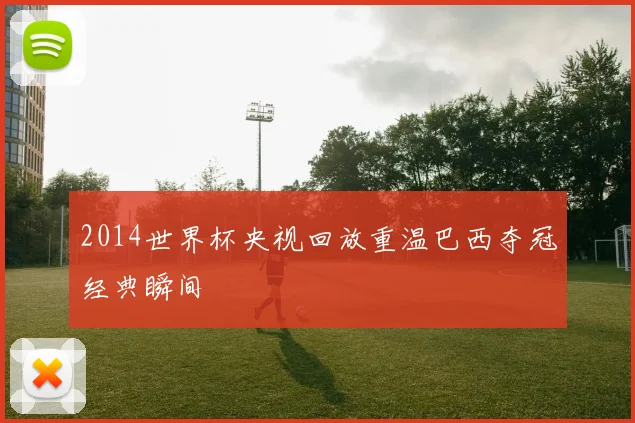 2014世界杯央视回放重温巴西夺冠经典瞬间