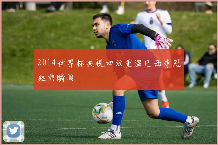 2014世界杯央视回放重温巴西夺冠经典瞬间