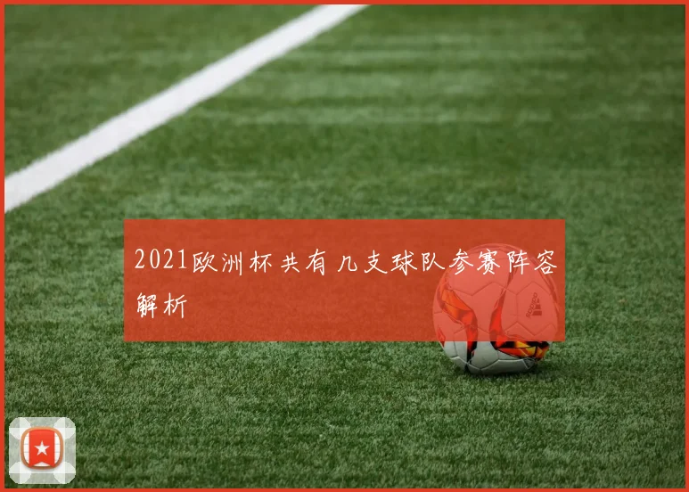 2021欧洲杯共有几支球队参赛阵容解析