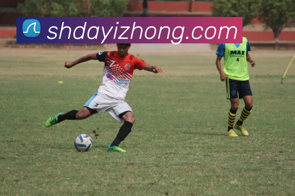 hth登录官网服务体系